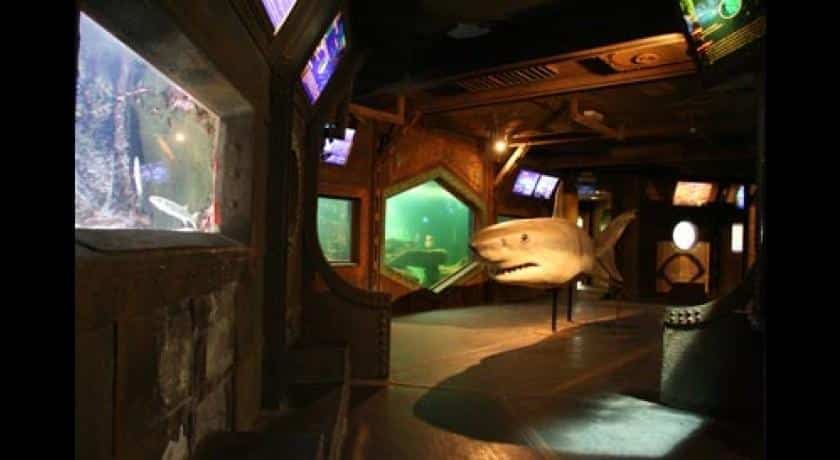 AQUARIUM AMÉVILLE