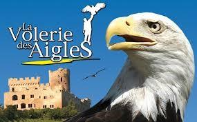 VOLERIE DES AIGLES