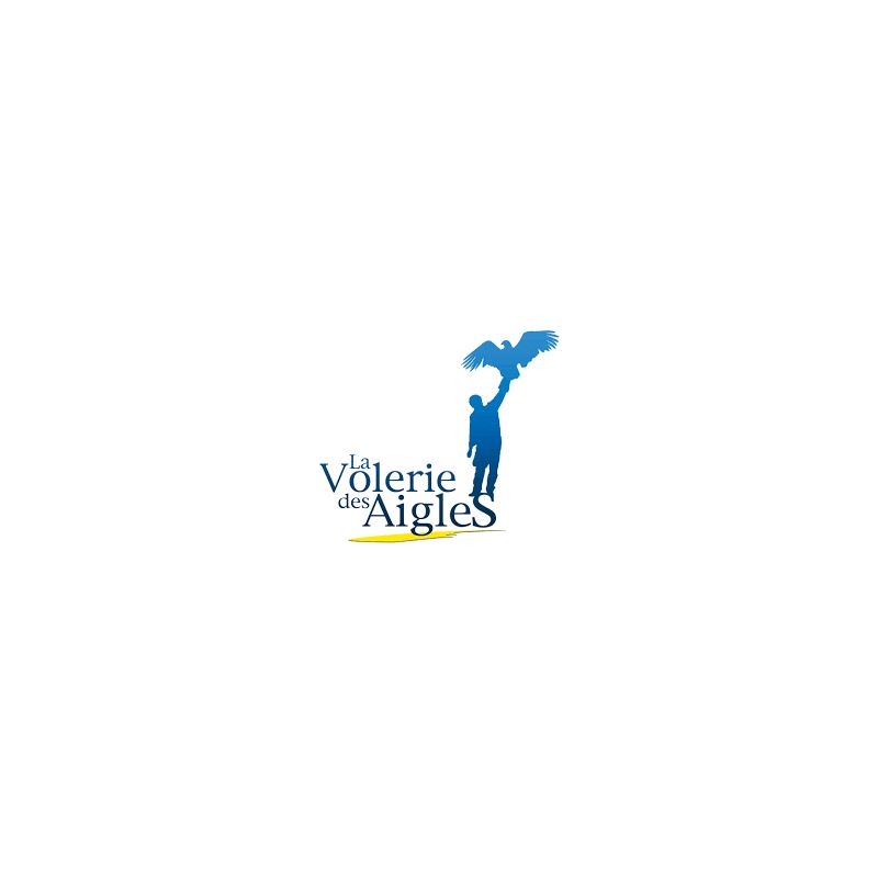 volerie-des-aigles