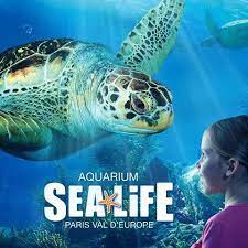 AQUARIUM SEA LIFE