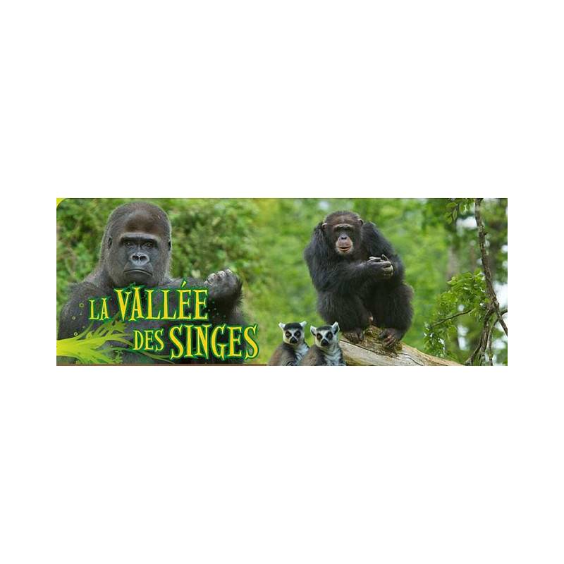 VALLÉE DES SINGES – Image 3