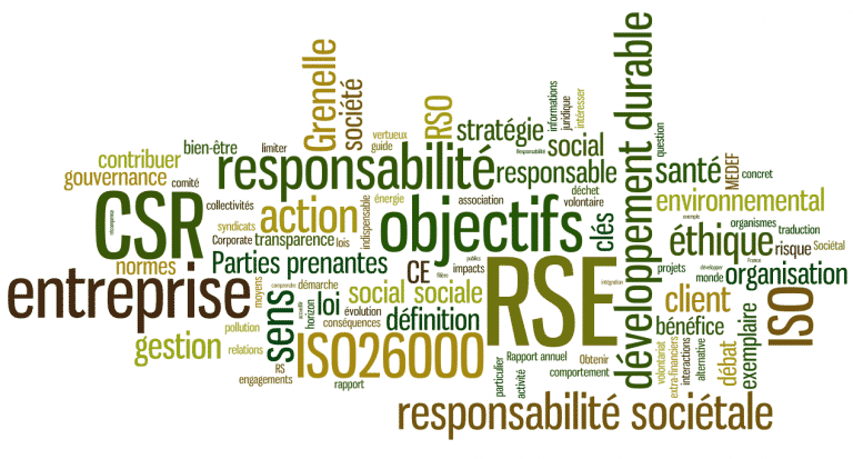 La responsabilité sociétale des entreprises : la RSE