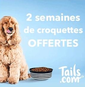 TAILS.COM – Image 2